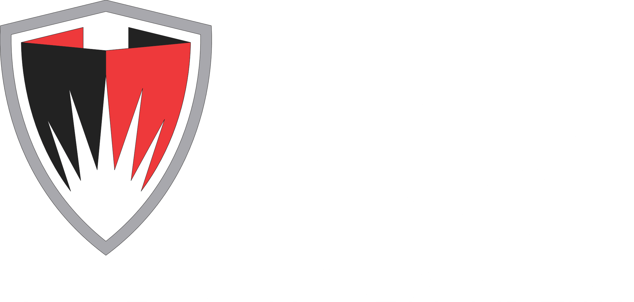 DEPSA Logo